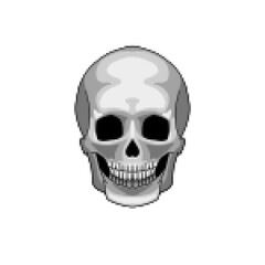 Skull pixel

