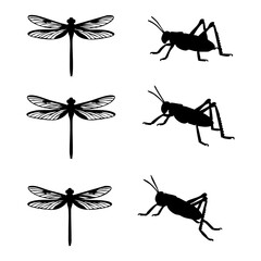 Silhouette Collection Dragonflies and Grasshoppers