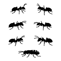A collection of seven ant silhouettes in various poses against a white background