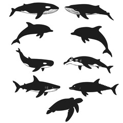 Marine Life Silhouettes A Collection of Whales, Dolphins, Sharks, and Sea Turtles in Black and White