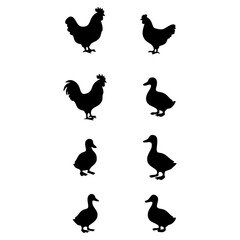 Silhouettes of Chickens and Ducks Farm Animal Icons