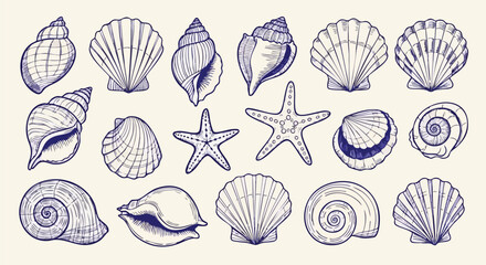 Delicate hand drawn collection of seashells and starfish evokes coastal charm and summer vacation dreams