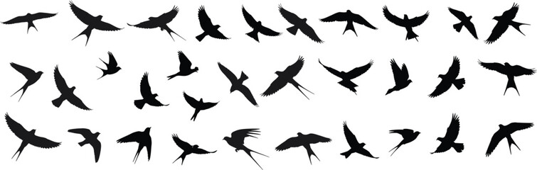 Silhouettes of birds in flight diverse poses collection isolated on dynamic action scenes silhouette