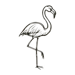 Fototapeta premium PNG Minimalist flamingo line drawing.