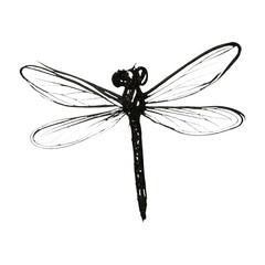 PNG Elegant sketch of dragonfly silhouette.