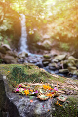 Traditional balinese offerings to gods with flowers and aromatic sticks at Tibu Sampi Waterfalls in Selemadeg Timur, Tabanan, Bali, Indonesia