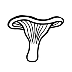 Mushroom line art style vector illustration
