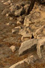 texture of rocks next to the beach sand at sunset. High quality photo