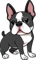 Cute cartoon a illustrator vector Boston Terrier