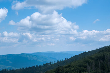 Naklejka premium Mountain forest landscape in summer with lush greenery and blue sky, perfect for travel marketing, tourism campaigns, wellness branding, and outdoor adventure promotions.