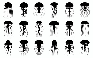 silhouettes of people