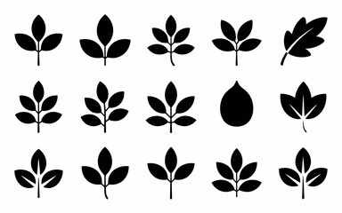 set of leaves