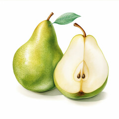 watercolor pear fruit slice, on white background 