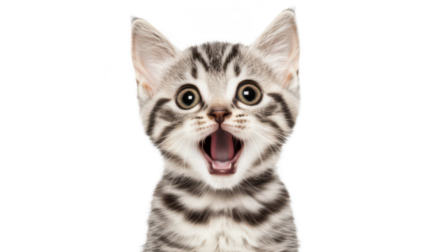 A playful and adorable striped kitten with wide eyes and an open mouth. exuding joy and curiosity. set against a clean white background. ideal for pet-related content or marketing