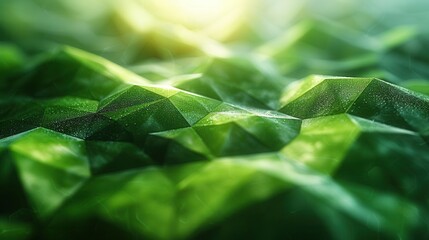 Abstract green geometric shapes with a soft focus and a touch of sunlight.