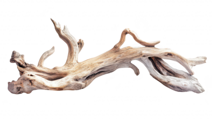 A beautifully weathered piece of driftwood artfully displayed against a clean white background. its intricate textures and natural curves. perfect for home decor or artistic inspiration