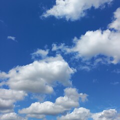 Obraz premium blue sky and white cloud with tree and green leaves | Natural photos