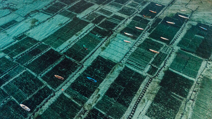 Drone view of ocean seaweed farm at Lembongan island in Indonesia