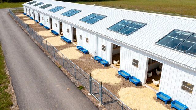 Modern poultry house with solar panels and blue feeding troughs