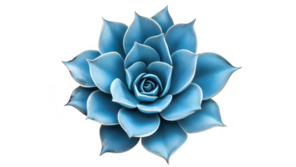 A stunning blue succulent plant with intricate leaf patterns. captured against a clean white background. its color and unique shape. ideal for nature-themed decor or botanical studies