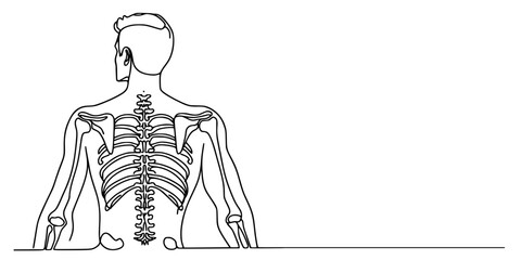 Human Skeleton from the Back, A black-and-white anatomical line drawing of the human upper skeletal system, viewed from the posterior