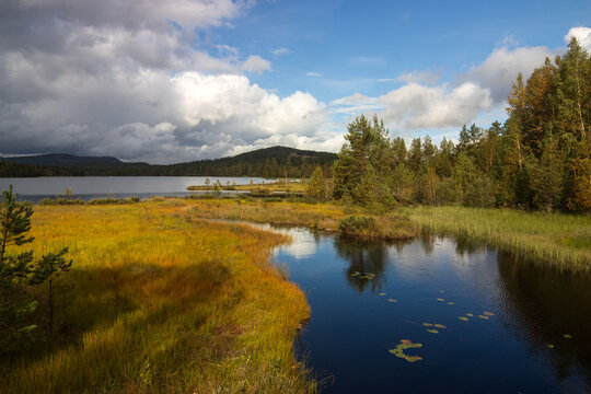 River leads intp the V&auml;rmullen lake in Sweden.