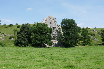 Felsen im Eselsburger Tal bei Herbrechtingen in der Schwäbischen Alb