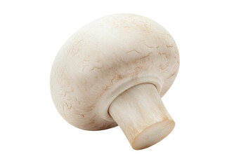 Isolated champignon mushroom, edible fungus, agaricus bisporus; ingredient for food recipe