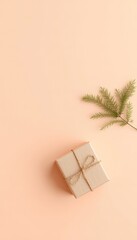 Gift box in brown paper with string tied in bow and green branch on pastel background with copy space