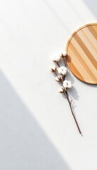 Simple composition of dried cotton plant and round bamboo tray on a white textured surface creating soft shadows