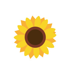 sunflower, flower, nature, sun, yellow, summer, isolated, plant, bright, blossom, editable vector file, sun flowers design 