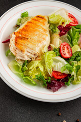Grilled chicken breast salad chicken breast tomato, green leaf lettuce, salad mix snack vegetables snack gourmet food background on the table rusticcopy space keto and paleo diet vegan and vegan food