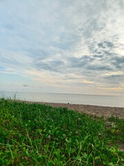 Beach and field in the morning