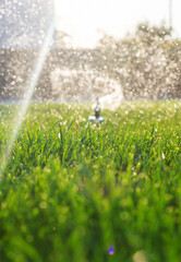 Automatic lawn watering system. Selective focus.