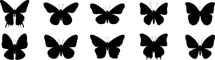 Set of butterfly in flight silhouettes. Black Set of butterflies. Set Of Butterflies Of Different Shapes, Isolated On White Background. Butterfly silhouette icons set. Vector illustration.