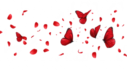 A serene composition featuring red butterflies gracefully fluttering amidst scattered rose petals against a clean white background. evoking feelings of beauty and tranquility