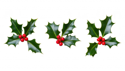 A close-up view of three sprigs of holly with red berries and glossy green leaves arranged neatly on a white background. ideal for holiday-themed designs and seasonal decorations