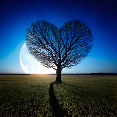 dead heart shaped tree in the middle of a field with night moon, cute and dreamy, feminine, romance, Valentines day concept