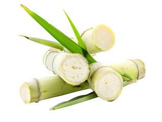 Fresh, vibrant sugarcane stalks with green leaves, showcasing their natural sweetness and versatility for food, beverage, and industrial applications.Isolated  to Transparent  Background