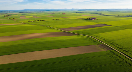 Aerial view of green farm fields agriculture landscape cultivation rural farmland harvest season