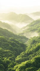 Obraz premium Lush green rolling hills covered in trees with soft mist between the peaks under bright sky.
