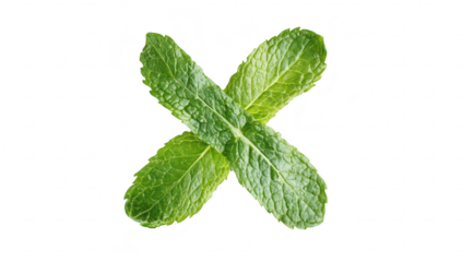 Fresh green mint leaves arranged in a cross pattern on a clean white background. their color and texture. ideal for culinary or wellness-related visuals