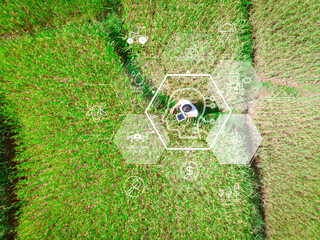 A farmer in a green field uses a tablet with digital icons overlay, symbolizing smart farming, precision agriculture, and modern technology.
