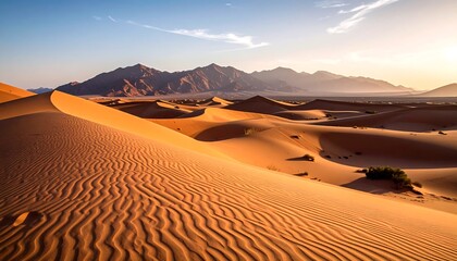Desert landscape panorama at sunrise