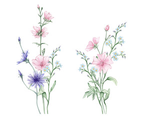 Watercolor floral composition illustration - wildflowers bouquet set. Summer meadow forget-me-nots and pink Marshmallow flowers, chicory. Greetings, wallpapers, wrapping. Hand drawn illustration.