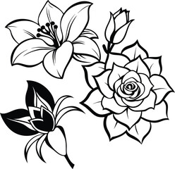 Obraz premium black and white rose line art