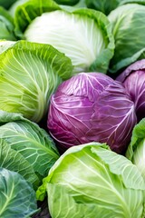 Obraz premium Fresh green and red cabbages displaying healthy food