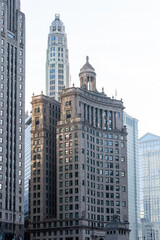 Chicago's architectural beauty: A view of historic skyscrapers against a bright sky.