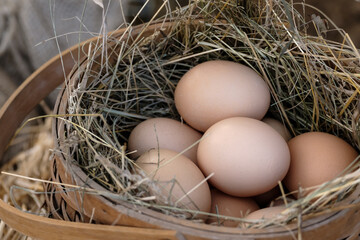 A basket full of eggs with straws in between them