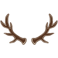 deer antlers